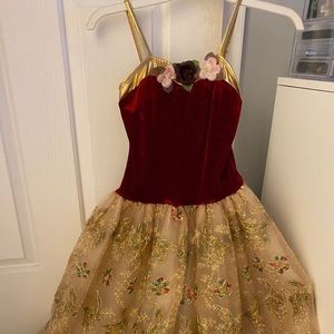 Multi-color ballet costume